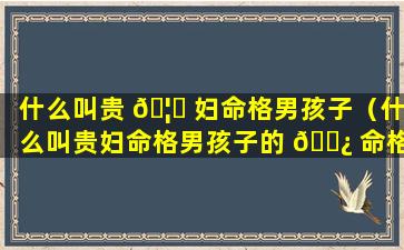 什么叫贵 🦅 妇命格男孩子（什么叫贵妇命格男孩子的 🌿 命格）